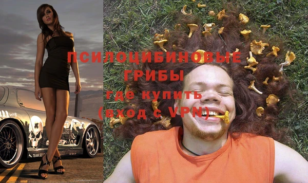 твердый Алексеевка