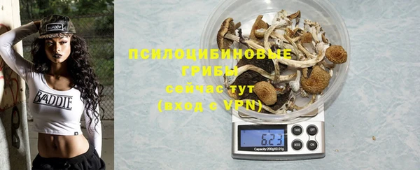 твердый Алексеевка